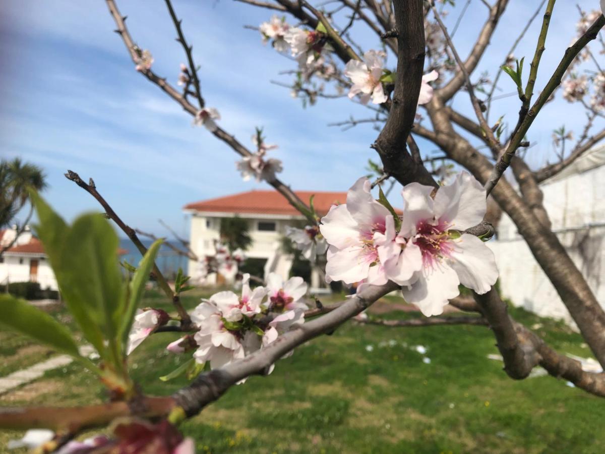 Kypseli Diomare Villas מראה חיצוני תמונה